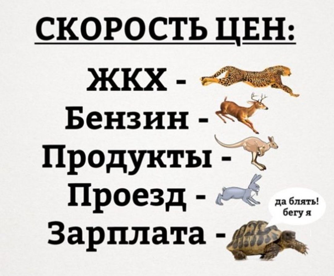 скорость цен
