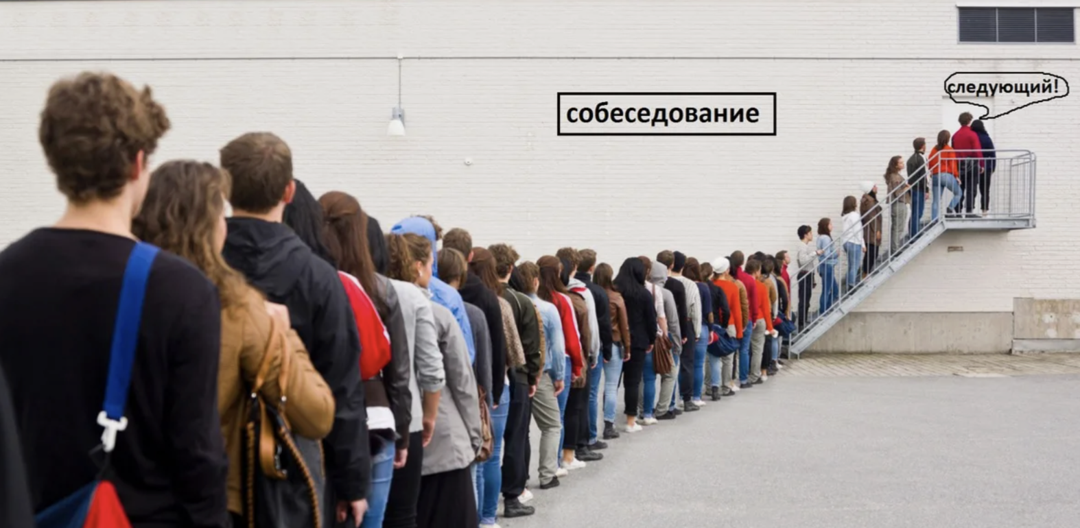 скорость цен